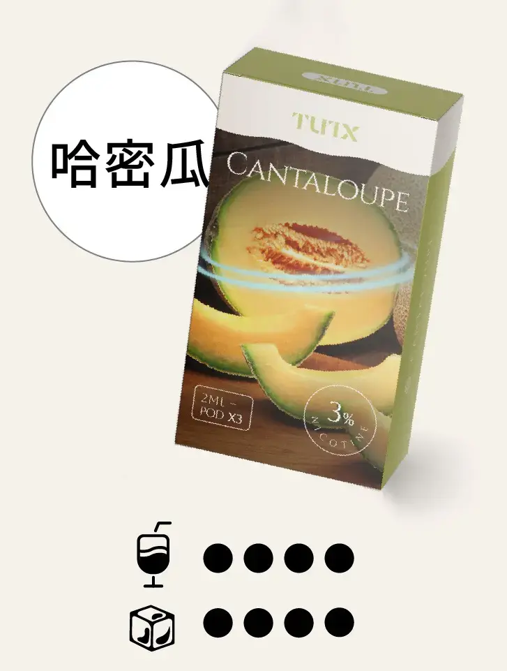 哈密瓜.png.webp - BA Cloud 台灣電子煙專賣店|正品煙彈與霧化器